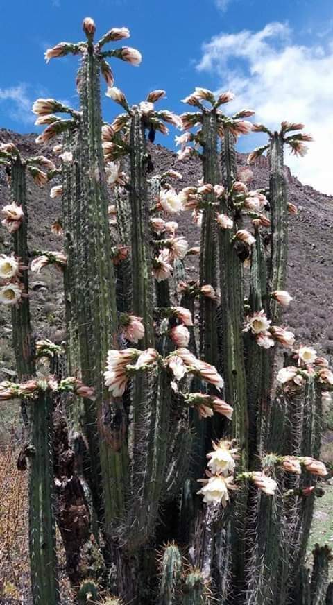 img 20231124 wa0000 img 20231124 wa0000