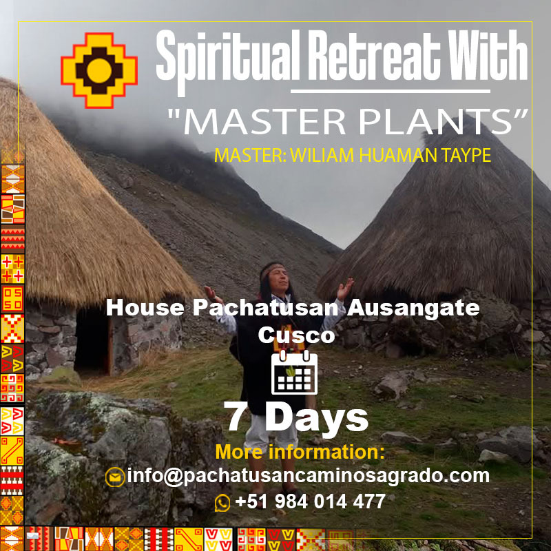 img 20250618 wa0016 img 20250618 wa0016