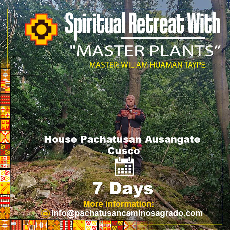 img 20250618 wa0018 img 20250618 wa0018