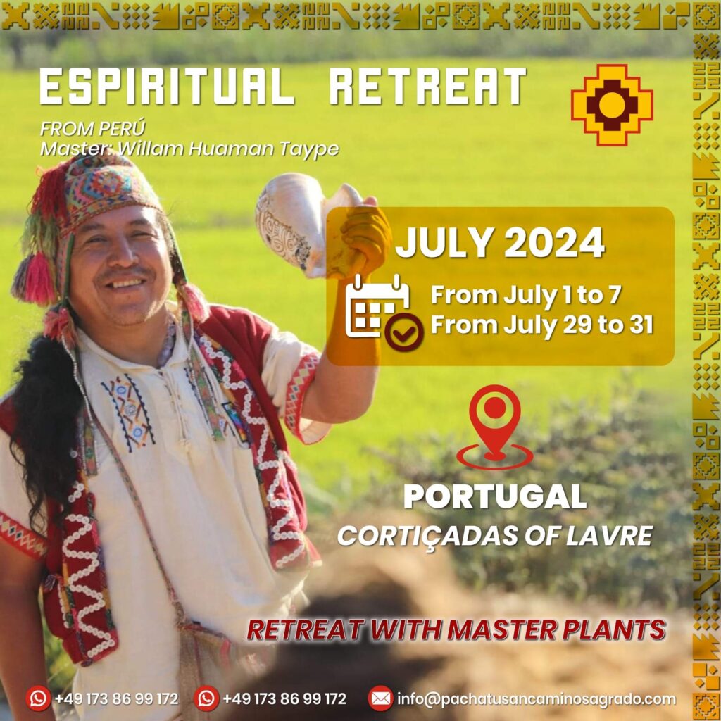 img 20250618 wa0022 img 20250618 wa0022